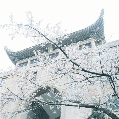 北京农学院：扎实推动高质量党建引领高质量发展